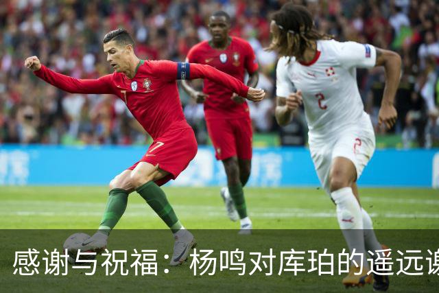 感谢与祝福：杨鸣对库珀的遥远谢意